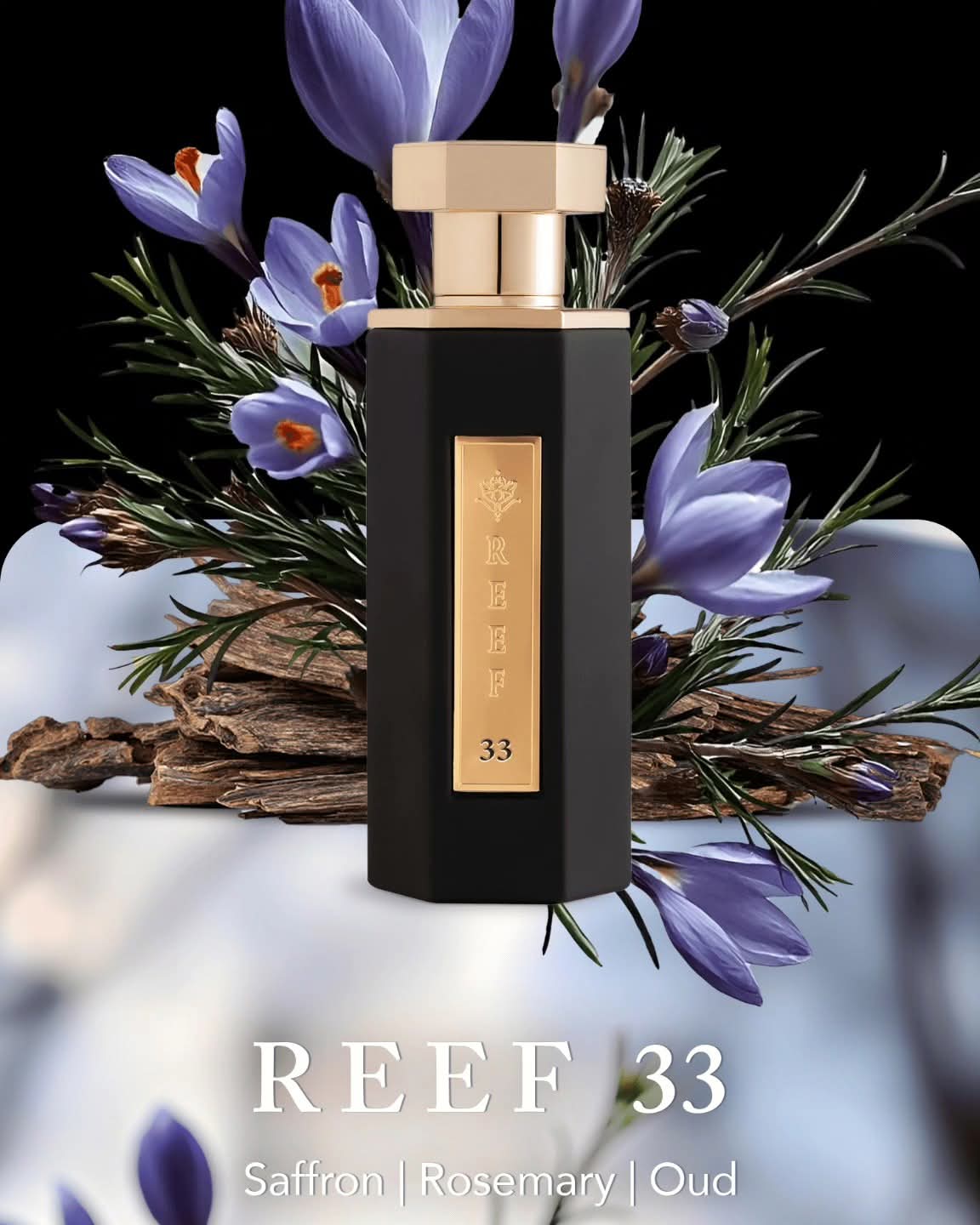 REEF 33 EDU PERFUME